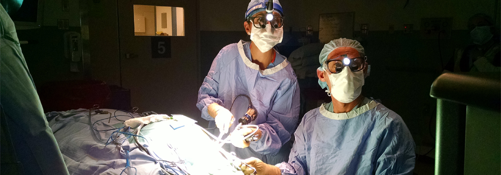 Drs. Zager and Ali performing nerve surgery